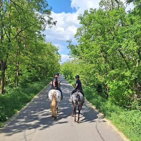 Horse Farm ゲストハウス