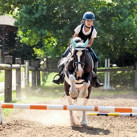 Horse Farm 3* Lechovice