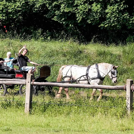 Horse Farm Penzion