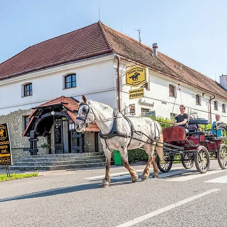 Penzion Horse Farm *