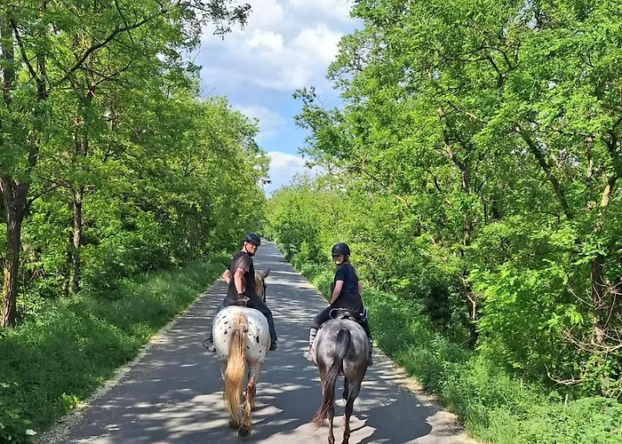 Horse Farm Penzion
