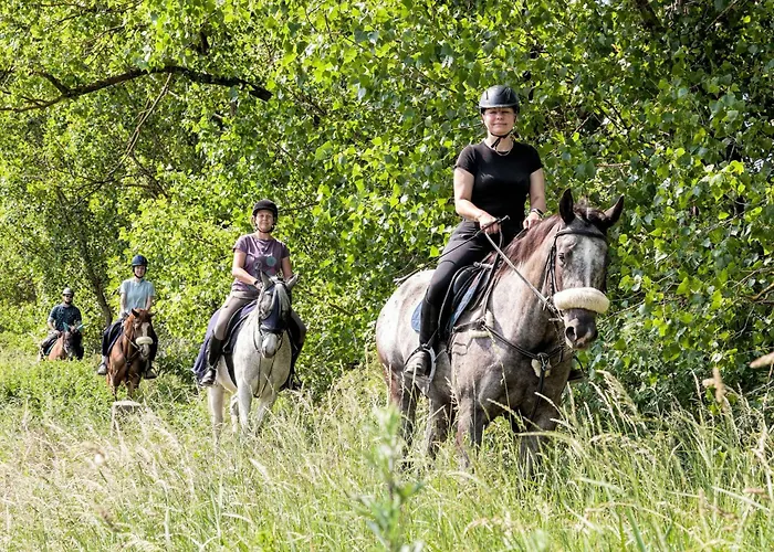 Horse Farm Penzion 3*