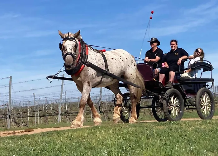 Horse Farm 3* Lechovice