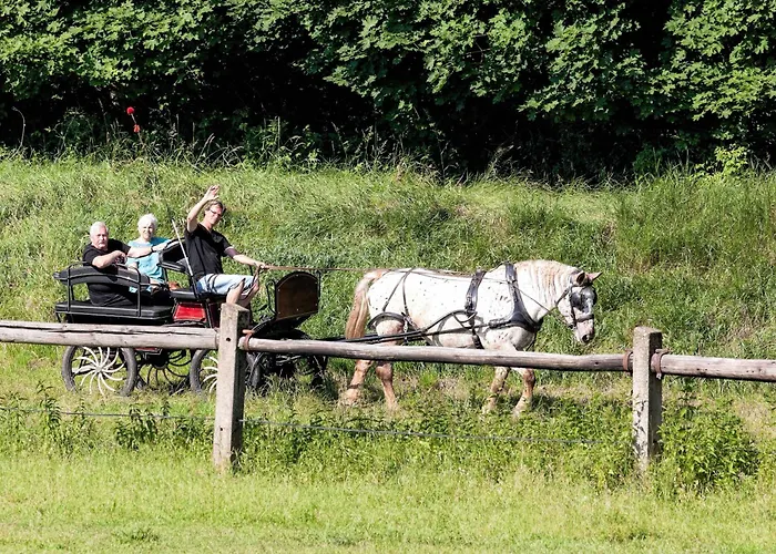 Horse Farm Penzion