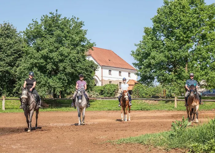 Penzion Horse Farm
